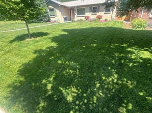 Myona M.'s lawn service service result