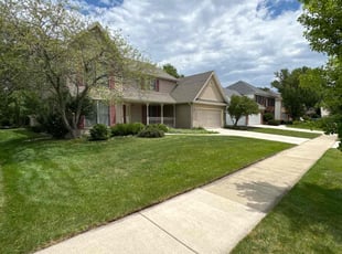 Dominick B.'s lawn service service result