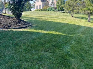 Jacky L.'s lawn care service result