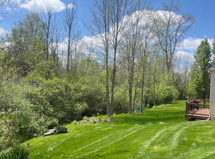 Jimmy S.'s grass cutting service result