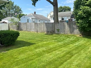 suzanne g.'s turf maintenance service result