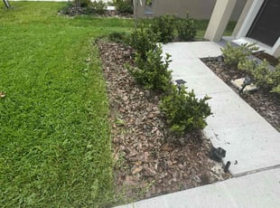 Laura N.'s lawn maintenance service result