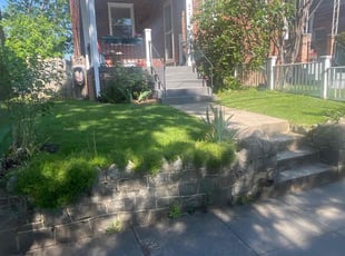 David W.'s turf care service result