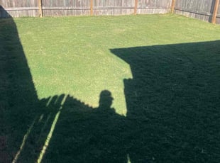 Mike C.'s lawn maintenance service result