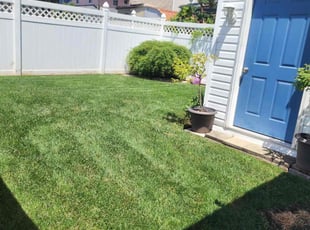 David H.'s grass maintenance service result