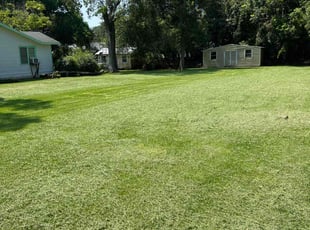 Matthew I.'s turf care service result