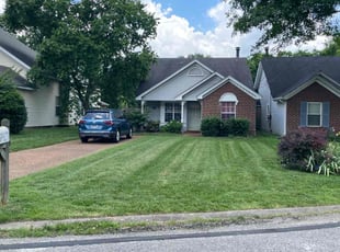 Munachiso A.'s lawn care service result
