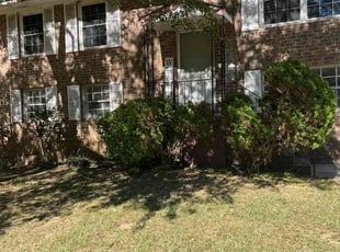 Nicole H.'s grass maintenance service result