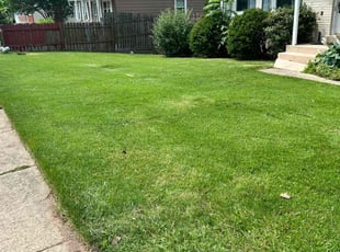 Janet H.'s lawn care service result