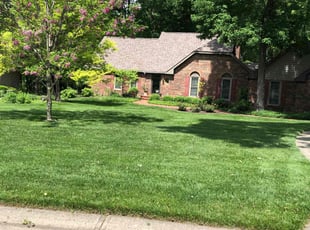 Riley B.'s lawn care services service result