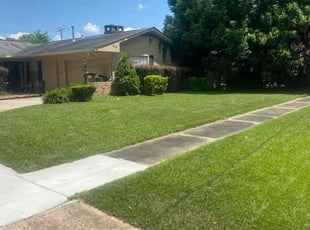 Hector C.'s lawn service service result
