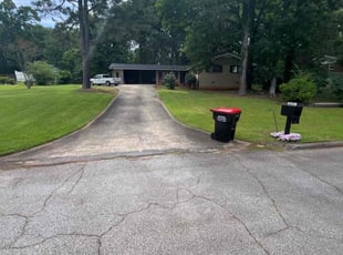 Aremo A.'s lawn service service result