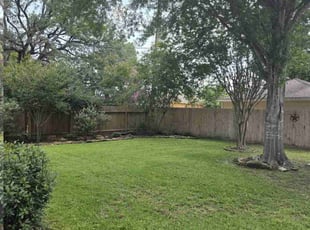 Dominick M.'s lawn service service result