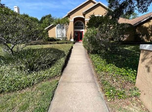 Andrew R.'s Bush Trimming service result