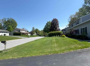 Jack K.'s grass cutting service result