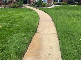 Bernard B.'s grass cutting service result