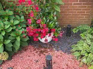 Robert H.'s grass maintenance service result