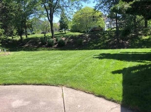 Walter L.'s lawn care service result