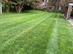 Lisa G.'s lawn care services service result