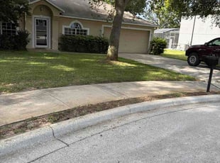 Shameika A.'s grass maintenance service result
