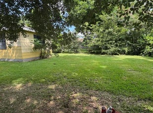 Damarus C.'s lawn maintenance service result