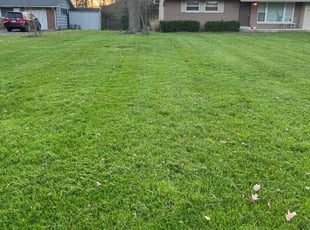 Gabrielle R.'s lawn service service result