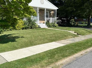 Jamile W.'s grass cutting service result