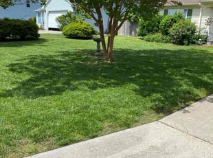 Maurice A.'s turf maintenance service result