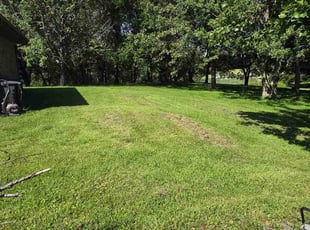 Mike P.'s grass maintenance service result
