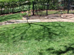 Jeremy R.'s grass cutting service result