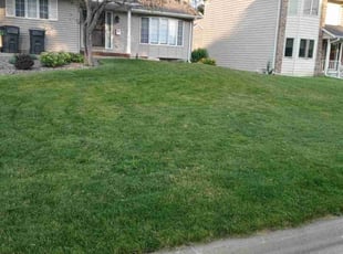 Dan S.'s lawn care service result