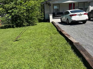 Trina R.'s grass cutting service result