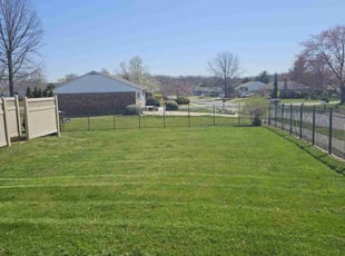 Connie S.'s grass maintenance service result