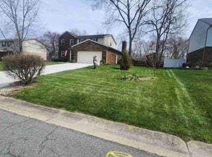 Wilma H.'s turf maintenance service result