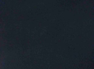 Cathy C.'s Bush Trimming service result