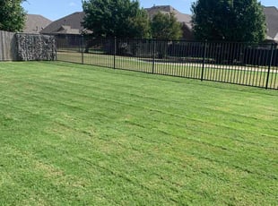 Tonda P.'s lawn maintenance service result