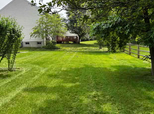 Regina C.'s lawn care services service result