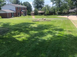 Terri G.'s turf maintenance service result