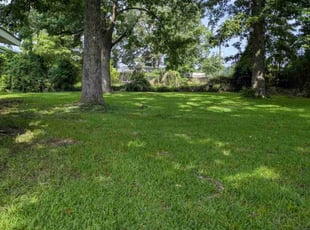 Michael H.'s lawn service service result