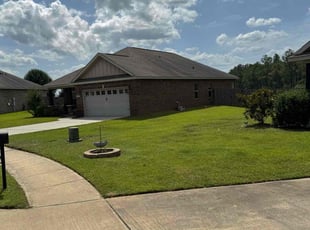 Donna P.'s grass maintenance service result