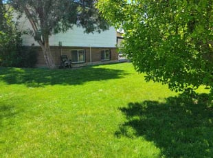 Cindy S.'s lawn care service result