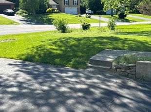 Rosemary O.'s Long Grass Cleanup service result