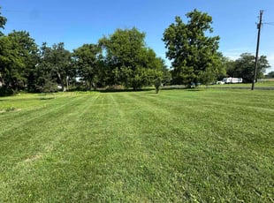 Dean H.'s turf maintenance service result