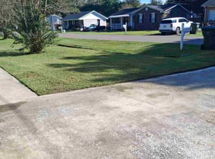 Thomas G.'s grass maintenance service result