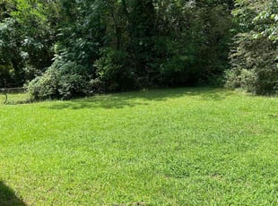 Darren S.'s lawn care services service result