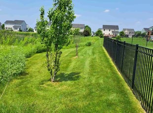 Madeline K.'s turf maintenance service result