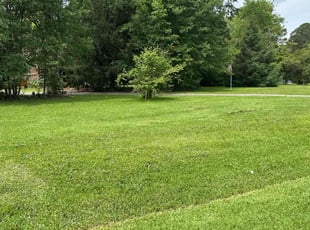 Alek S.'s lawn care services service result