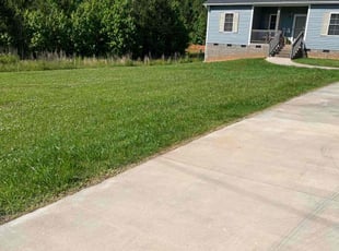Michelle S.'s lawn care service result