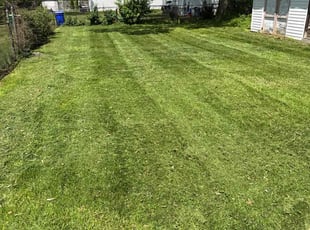 Damon B.'s grass cutting service result