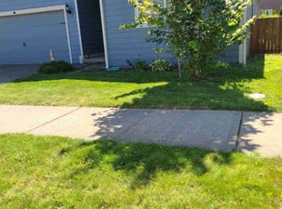 Elizabeth H.'s turf maintenance service result